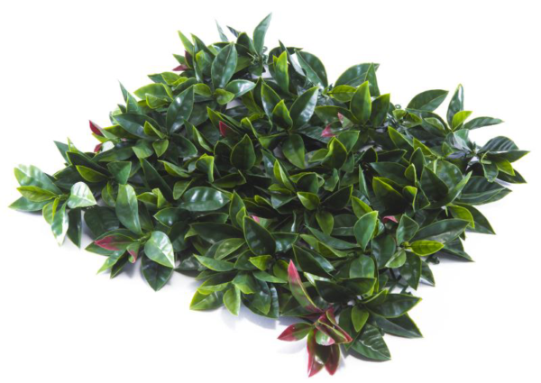 Artificial Green Wall - Tea Leaf Price per Square Meter