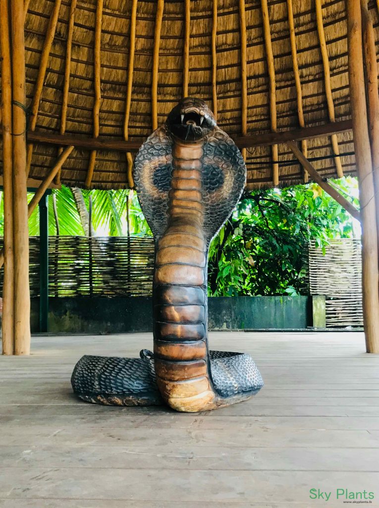 Snake Statue - SkyPlants